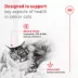Royal Canin® Feline Health Nutrition Senior Ultra Soft Mousse Canned Cat Food image thumbnail 3