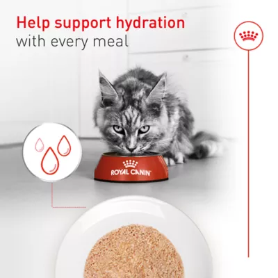Royal Canin® Feline Health Nutrition Senior Ultra Soft Mousse Canned Cat Food - Image 5
