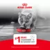 Royal Canin® Feline Health Nutrition Senior Ultra Soft Mousse Canned Cat Food image thumbnail 9