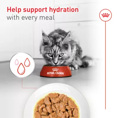 Royal Canin® Feline Health Nutrition Senior Thin Slices in Gravy Canned Cat Food Chicken & Pork - Image 5