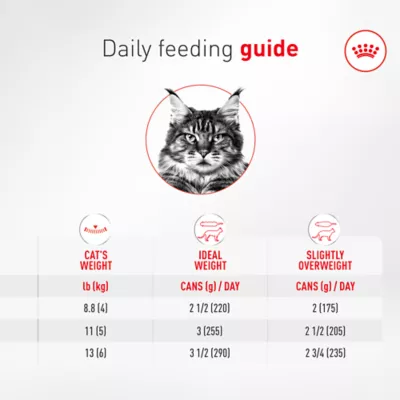 Royal Canin® Feline Health Nutrition Senior Thin Slices in Gravy Canned Cat Food Chicken & Pork - Image 7
