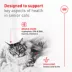 Royal Canin® Feline Care Nutrition Hair & Skin Care Thin Slices In Gravy Canned Adult Cat Food image thumbnail 3