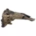 Aqua-Flora™ Naturals Driftwood Aquarium Ornament image thumbnail 2