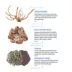 Cascade® Aquascaping Rock and Wood Kit Aquarium Decor image thumbnail 2