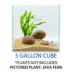 Cascade® Aquascaping Rock Kit image thumbnail 3
