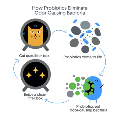 BoxiePro® Bot™ Clay Cat Litter - Unscented, Clumping - Image 5