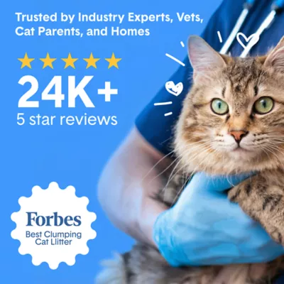 BoxiePro® Bot™ Clay Cat Litter - Unscented, Clumping - Image 6