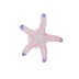 Top Fin® Suction Starfish Aquarium Ornament image thumbnail 1