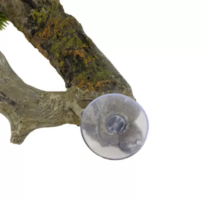 Top Fin® Suction Zen Branch With Greenery Aquarium Ornament - Image 3