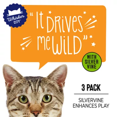 Whisker City® Sivervine Sticks Cat Toys 3-Pack - Image 2
