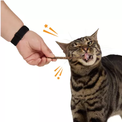 Whisker City® Sivervine Sticks Cat Toys 3-Pack - Image 3