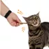 Whisker City® Sivervine Sticks Cat Toys 3-Pack image thumbnail 3