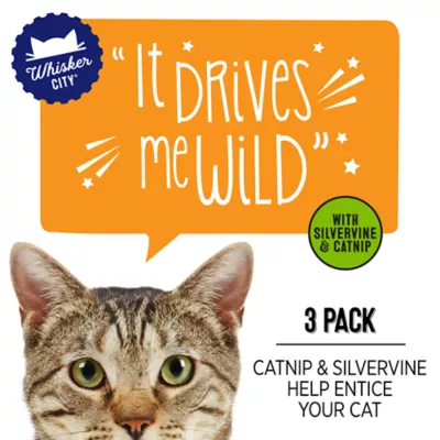 Whisker City® June 26 SP WC Silvervine Stick Cat Toys - 3-Pack - Image 2