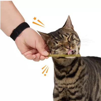 Whisker City® June 26 SP WC Silvervine Stick Cat Toys - 3-Pack - Image 3