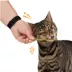 Whisker City® June 26 SP WC Silvervine Stick Cat Toys - 3-Pack image thumbnail 3