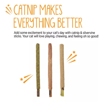 Whisker City® June 26 SP WC Silvervine Stick Cat Toys - 3-Pack - Image 4