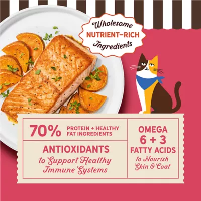 Merrick Purrfect Bistro Adult Cat Dry Food - Grain Free, Salmon & Sweet Potato - Image 2