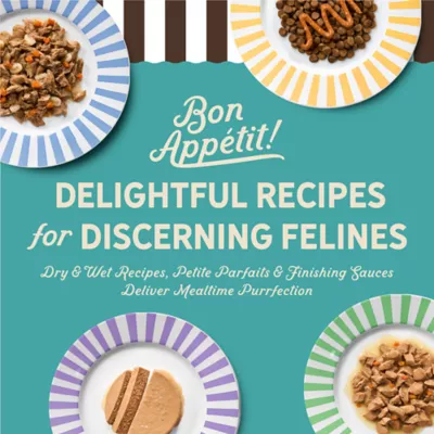 Merrick Purrect Bistro Adult Cat Dry Food - Grain Free, Wild Caught Ocean Whitefish & Spinach Recipe - Image 4