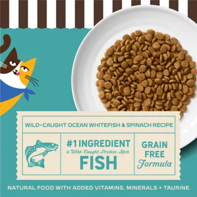 Merrick Purrect Bistro Adult Cat Dry Food - Grain Free, Wild Caught Ocean Whitefish & Spinach Recipe - Image 7