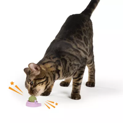 Whisker City® Catnip Lick N Stick Cat Toys - Image 3