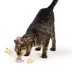 Whisker City® Catnip Lick N Stick Cat Toys image thumbnail 3