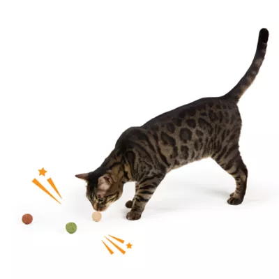 Whisker City® Catnip Ball Refill Cat Toys 3-Pack - Image 3