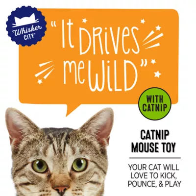 Whisker City® Catnip Mouse Cat Toys - Image 2