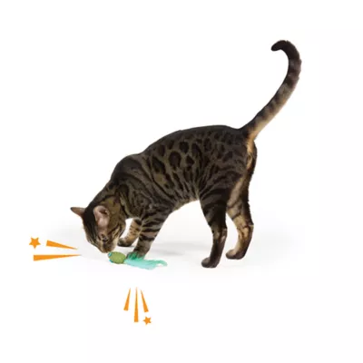 Whisker City® Catnip Mouse Cat Toys - Image 3