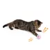 Whisker City® Yarn Ball Assorted Cat Toys image thumbnail 3