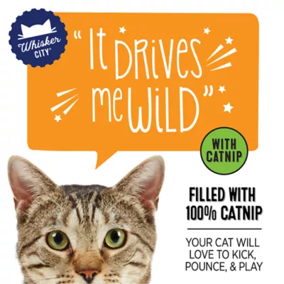 Whisker City® 100% Catnip Filled Pickle Cat Toys - Image 2