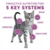 Purina® ONE® +Plus Whole Body Support Adult Cat Dry Food - Chicken image thumbnail 3
