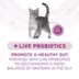 Purina® ONE® +Plus Whole Body Support Adult Cat Dry Food - Chicken image thumbnail 5