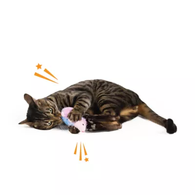 Whisker City® 100% Catnip Filled Hedgehog Cat Toys - Image 3