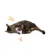 Whisker City® 100% Catnip Filled Hedgehog Cat Toys image thumbnail 3