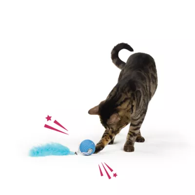 Whisker City® Electronic Ball With Tail Cat Toys - Image 3