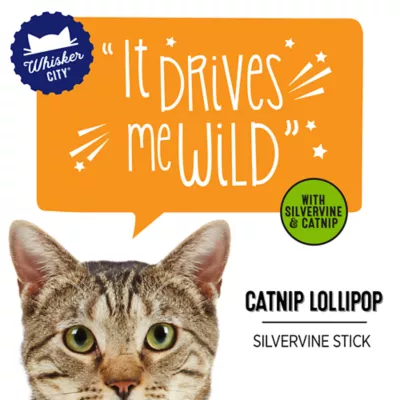 Whisker City® Silvervine Lollipop Assorted Cat Nip - Image 2