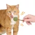 Whisker City® Silvervine Lollipop Assorted Cat Nip image thumbnail 3