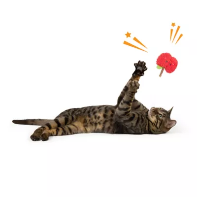 Whisker City® Silvervine Fruit Catnip Cat Toys - Image 3