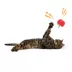 Whisker City® Silvervine Fruit Catnip Cat Toys image thumbnail 3
