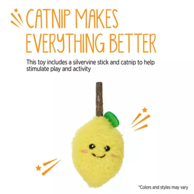 Whisker City® Silvervine Fruit Catnip Cat Toys - Image 4