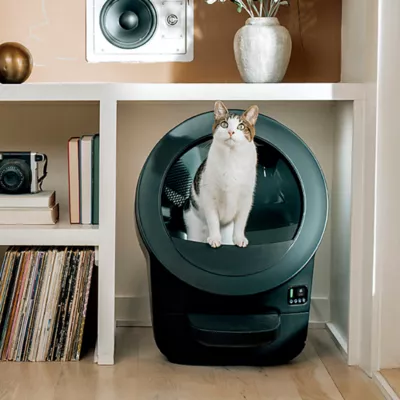 Litter-Robot® EVO Automatic Self-Cleaning Cat Litter Box by Whisker - Image 5