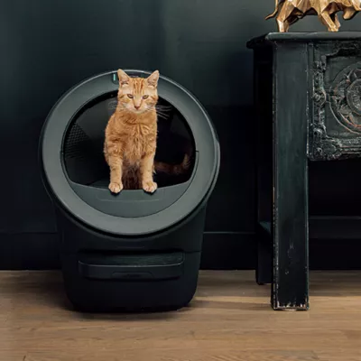 Litter-Robot® 5 Automatic Self-Cleaning Cat Litter Box by Whisker - Image 5