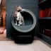 Litter-Robot® 5 Automatic Self-Cleaning Cat Litter Box by Whisker image thumbnail 6