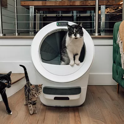Litter-Robot® 5 Automatic Self-Cleaning Cat Litter Box by Whisker - Image 6