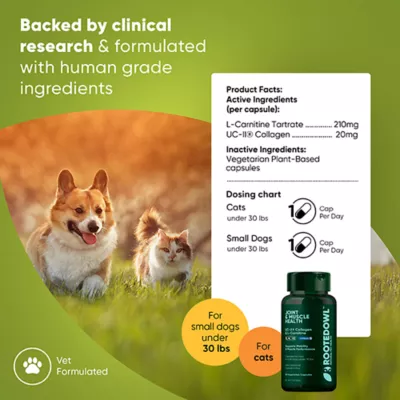 Product Rooted Owl®, Joint & Muscle Health for Cats & Small Dogs