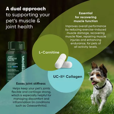 Product Rooted Owl®, Joint & Muscle Health for Cats & Small Dogs
