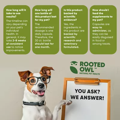 Product Rooted Owl®, Joint & Muscle Health for Cats & Small Dogs