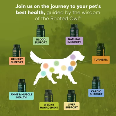 Product Rooted Owl®, Joint & Muscle Health for Cats & Small Dogs