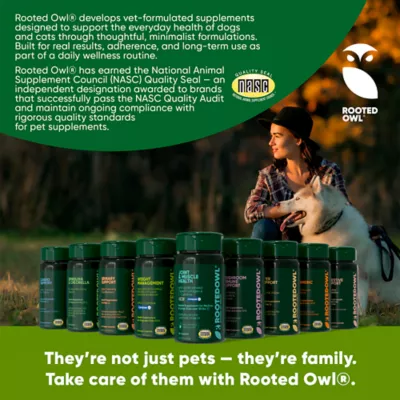 Rooted Owl® Natural Immunity Vegan Supplement Capsules for Dog & Cat, Mushroom Blend, 60 Count - Image 9