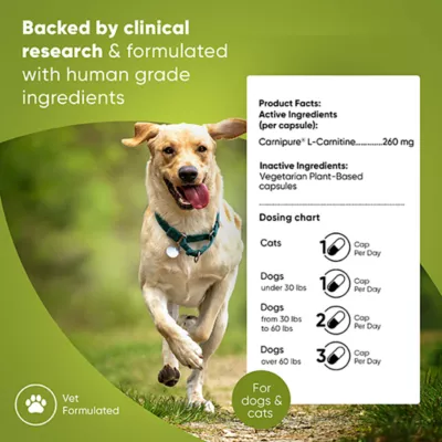 Product Rooted Owl®, Weight Management